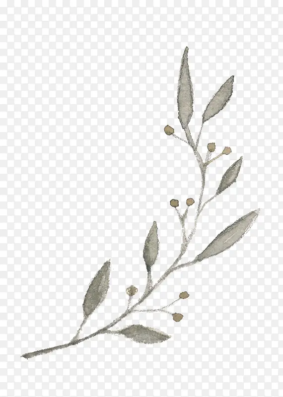 ˮī��֦-������