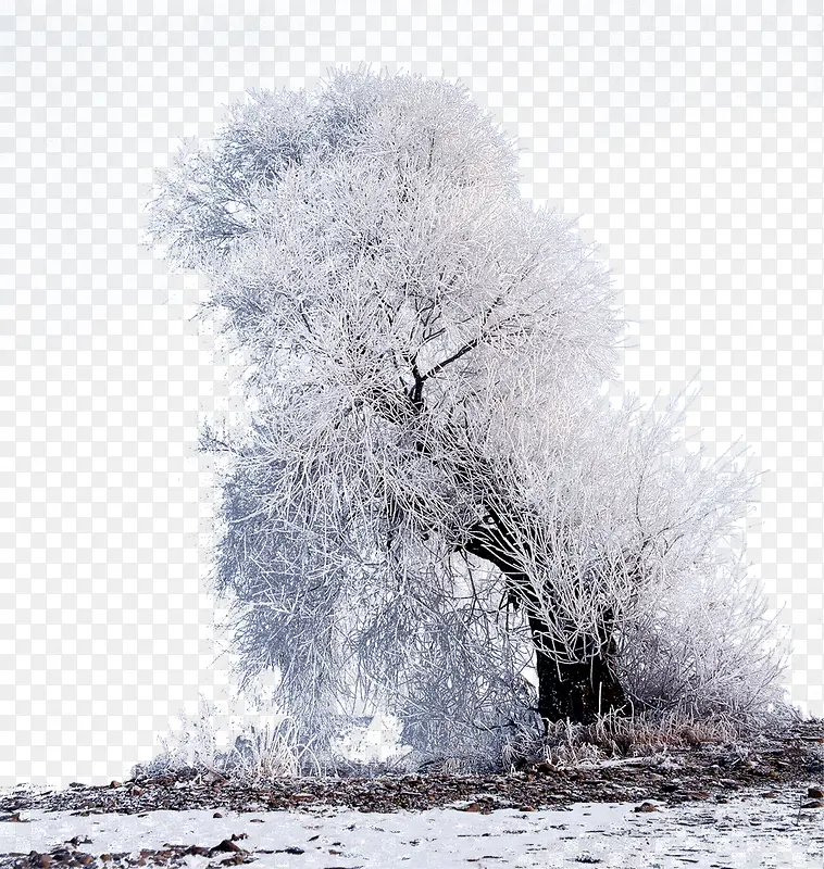 ������֦װ��չ��-������