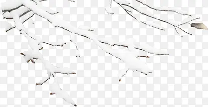 ��֦-������