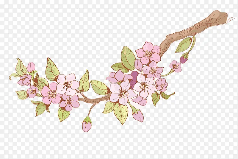 �ֻ���֦-������