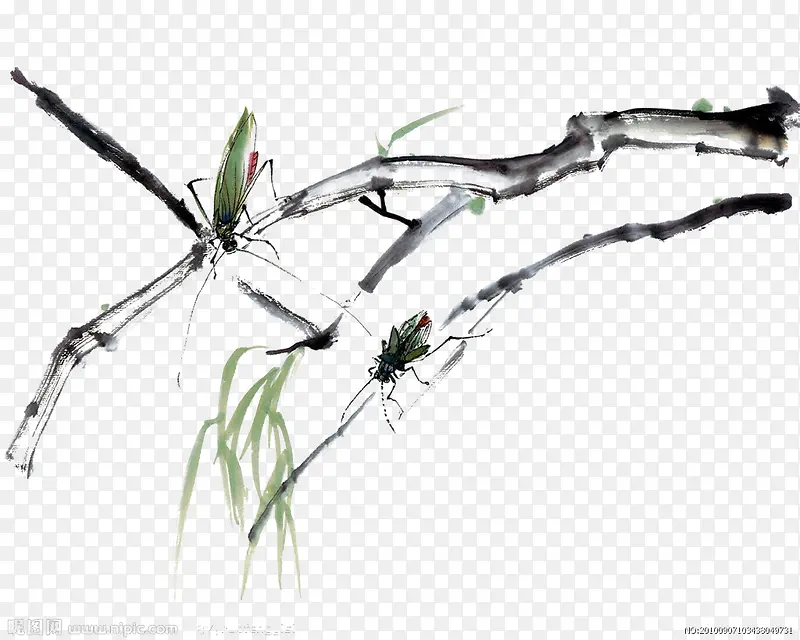 ˮī��֦-������