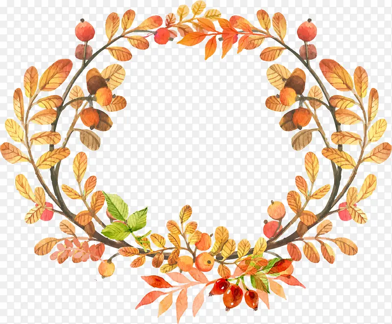 ֲ��-������