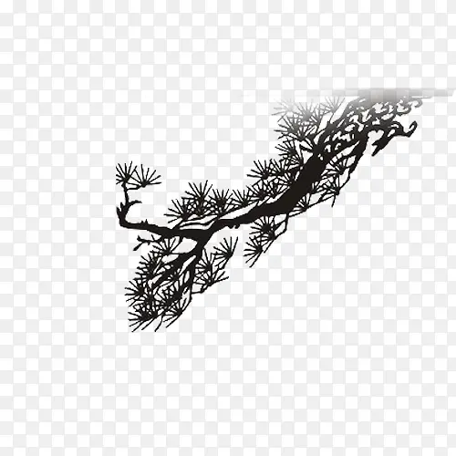 ��֦-������