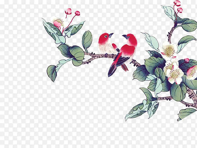 ���ﻨ��-������