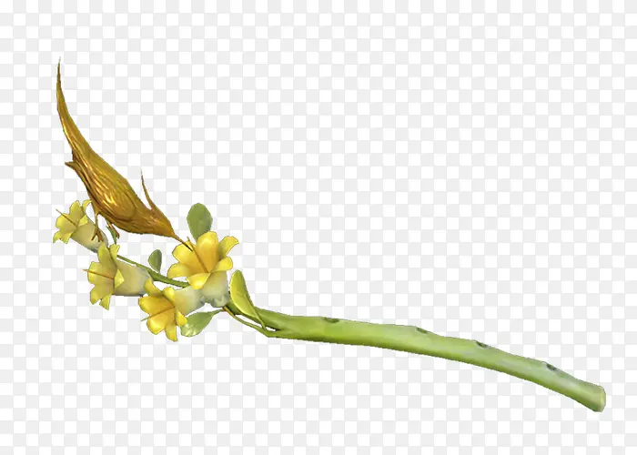 ���ﻨ��-������