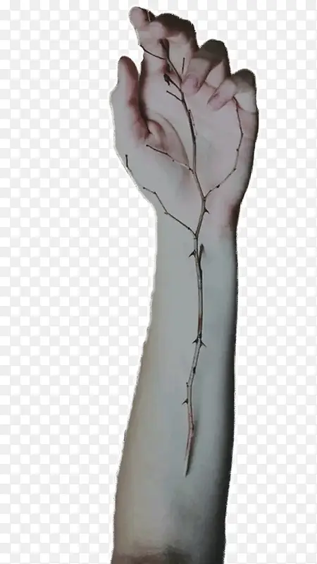 ���ĵĴ�-������