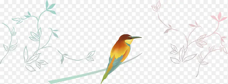 ���쿨ͨ��������֦-������