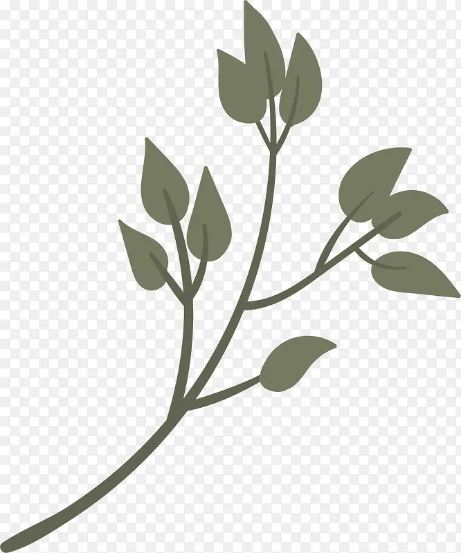 �ֻ���֦-������