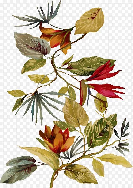 ��ͨ-������