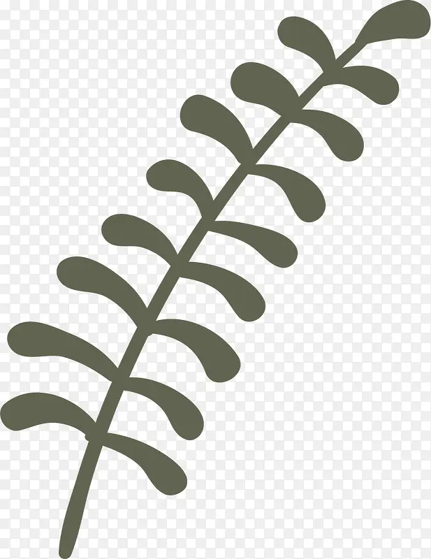 �ֻ���֦-������