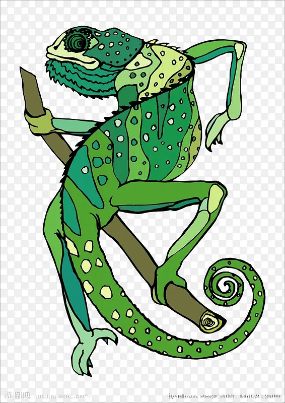 ��ɫ�ֻ�����-������