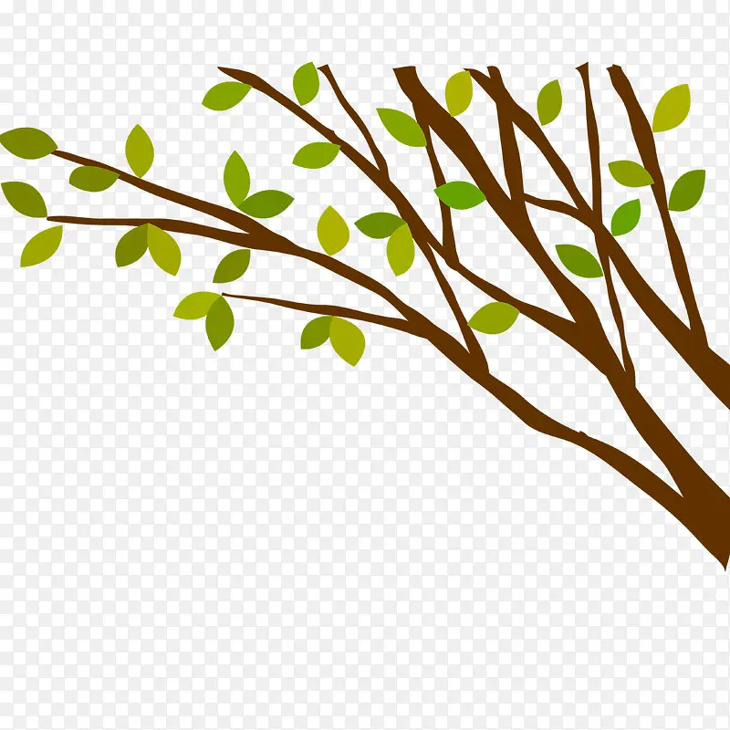 ��ͨ��֦-������