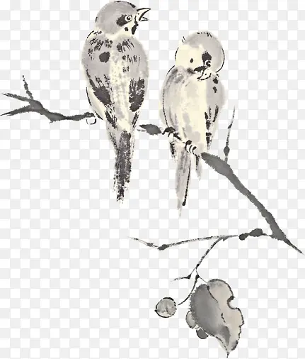 ��֦�����е�С��-������