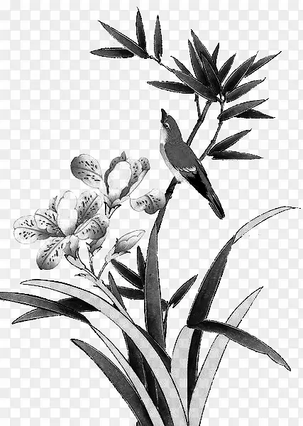 ˮī��-������