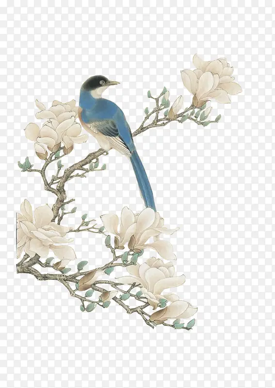 Ϳѻ���������֦������-������