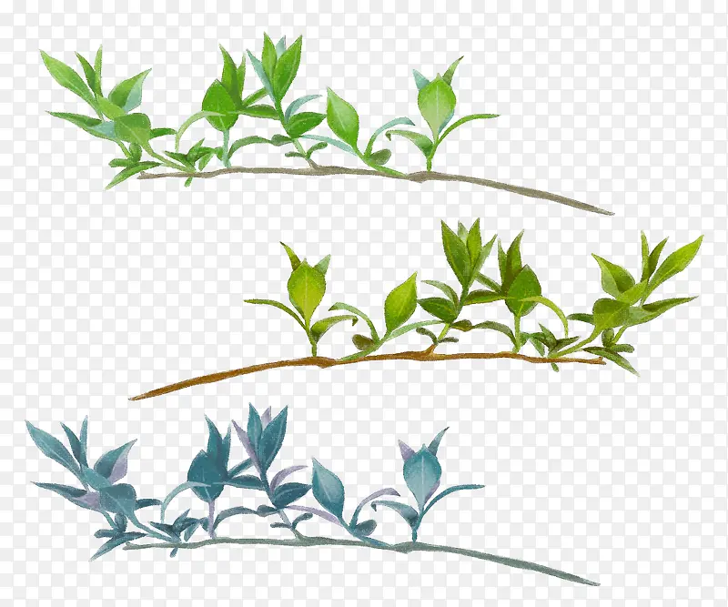 ����Ϳѻ��֦����Ч��-������