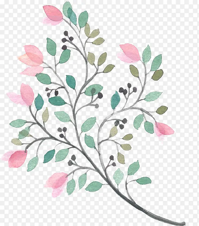 �ֻ��ɫ��֦-������