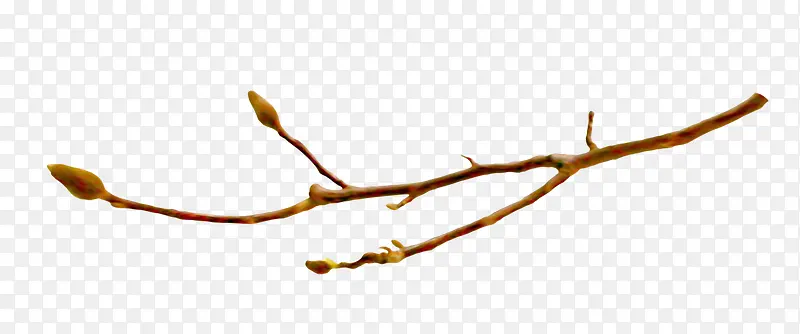 ��֦-������