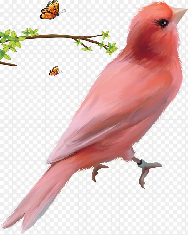 ��ɫ����ͼ��-������