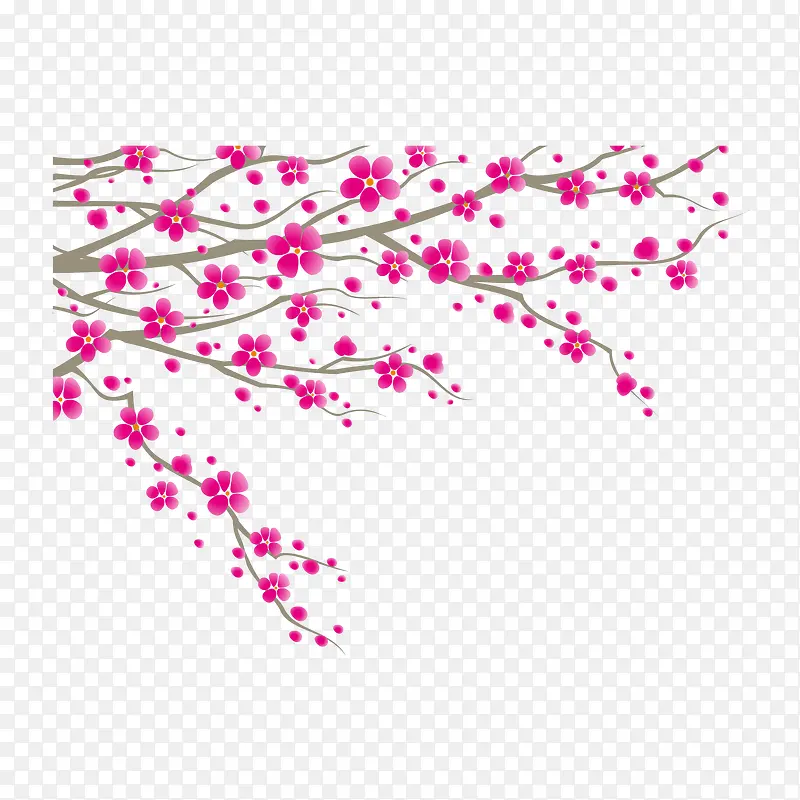 ��ͨ��֦��-������