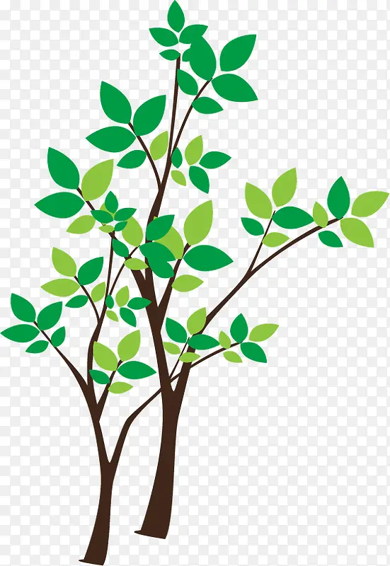 ʸ����ͨ��ɫ��֦-������