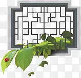 �������֦-������