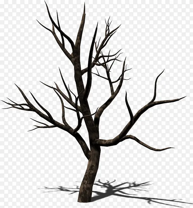 ��ɫ��ͨ��֦-������