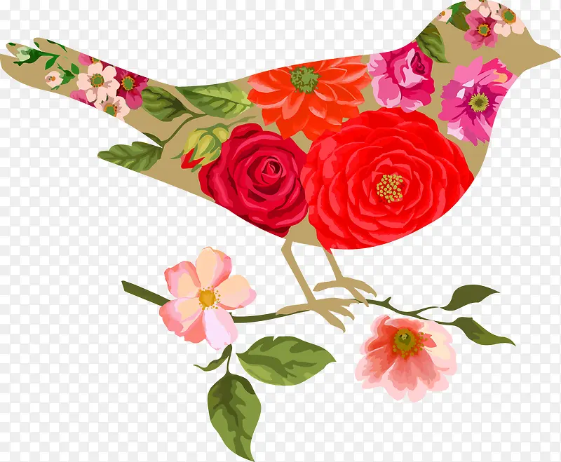 ����С��-������