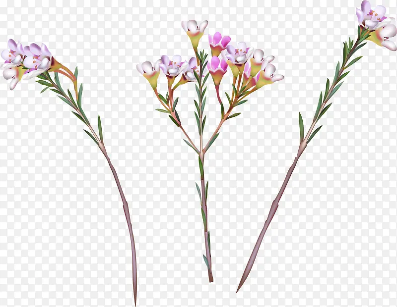 ʸ���ֻ���֦-������