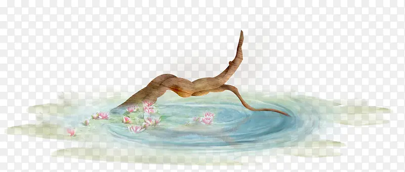 ��ɫˮ����֦-������