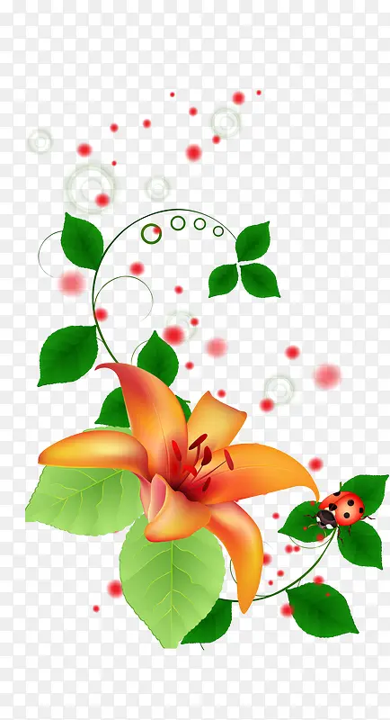 ��ͨ������֦��-������