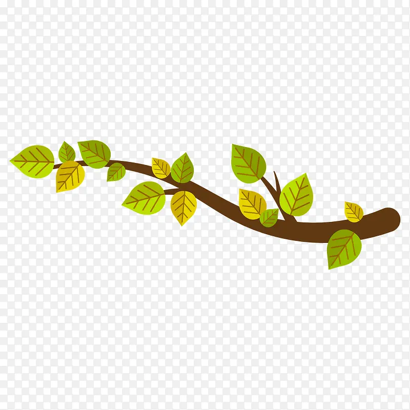 ��ͨ��֦-������