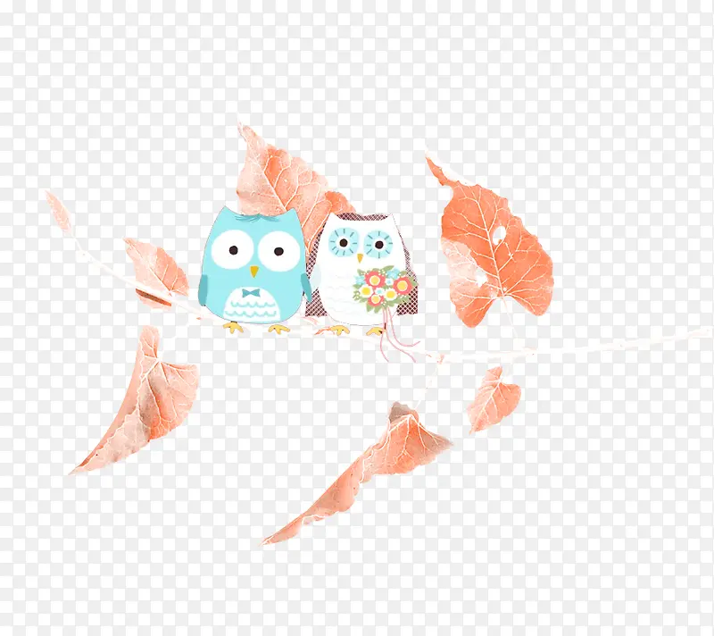 ��ͨС��-������