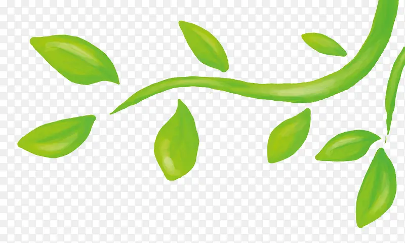 ��ɫҶ��-������