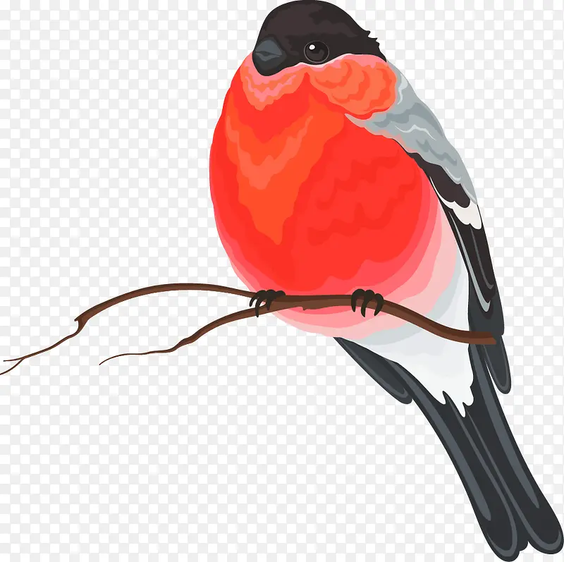 ��ͨ�ֻ���-������