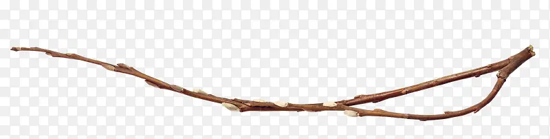 ��ɫ��֦-������