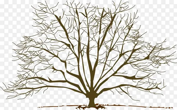 ��ͨ������֦�廭-������