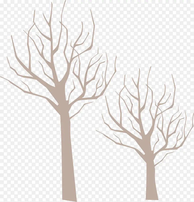 ��ͨ��֦-������