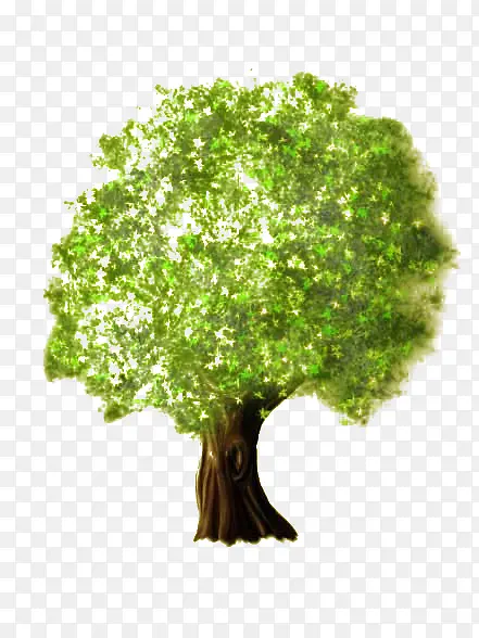 ��ͨ��֦-������