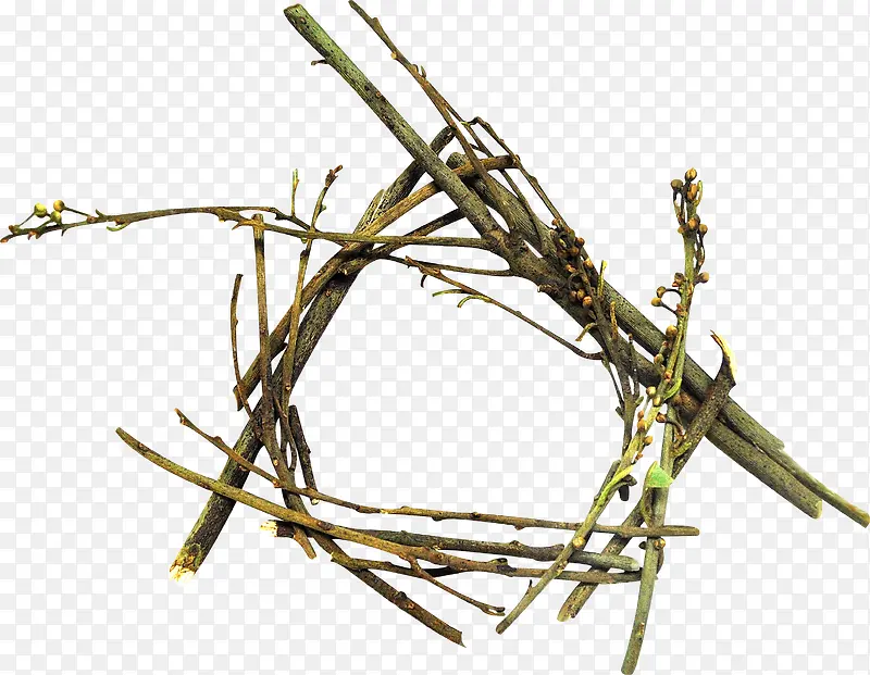 װ����֦-������