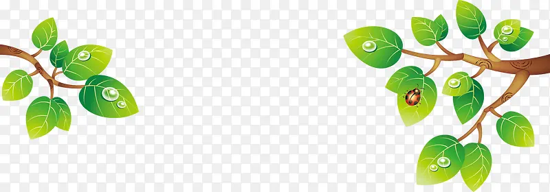 ��ͨ�������´�����֦Ҷ��-������