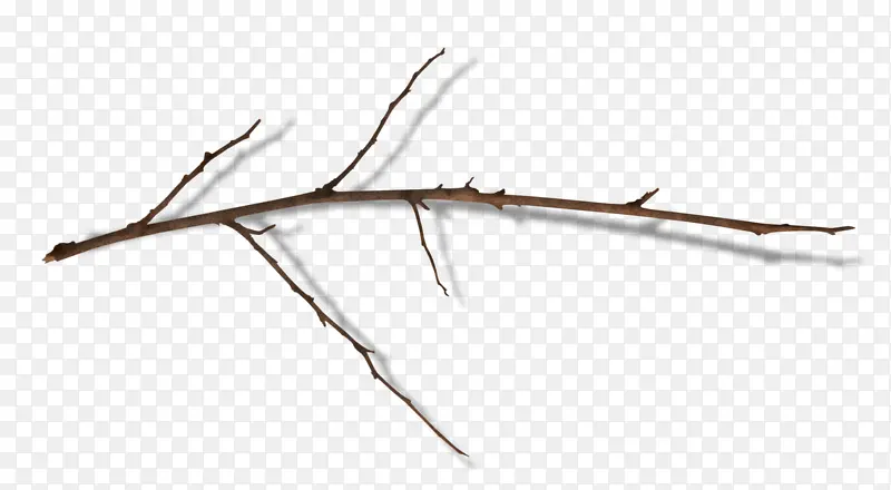 ��֦-������