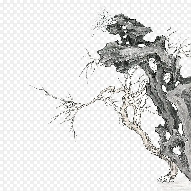 ��֦-������