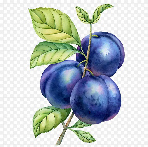 �ֻ�����-������