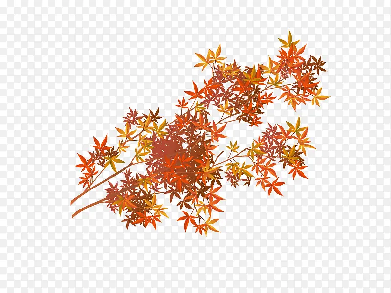 ��֦����ͨʸ���ز�-������