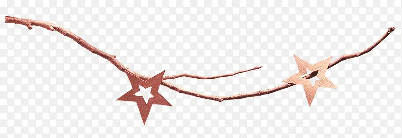 Ψ����֦-������