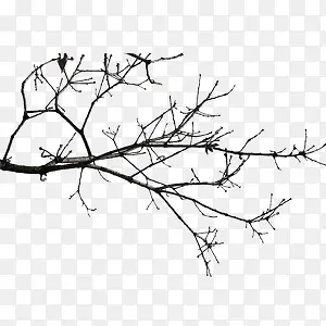 Ư����֦-������