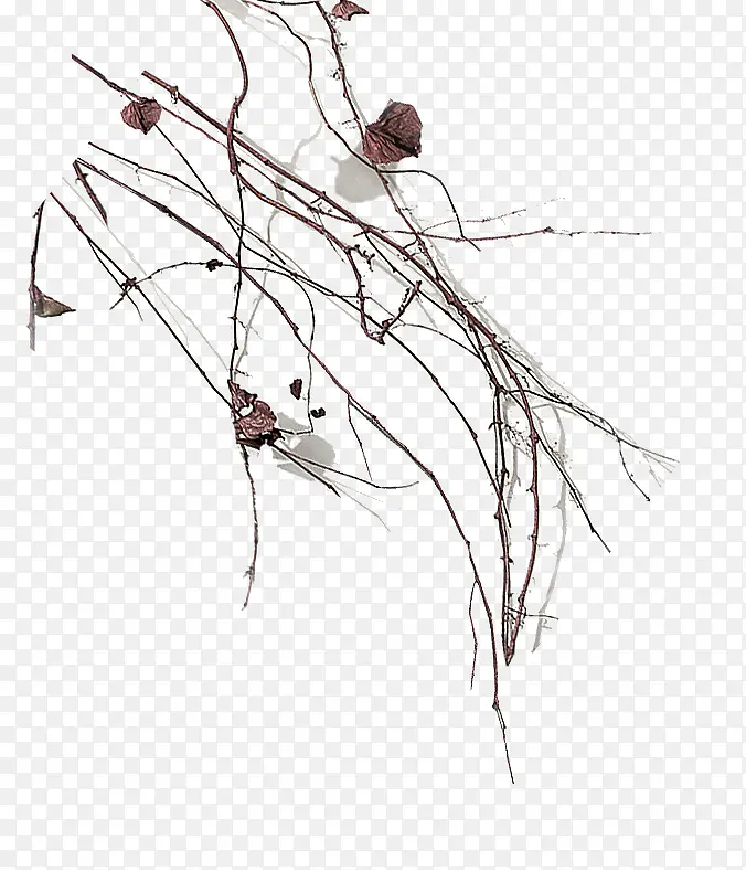 ��֦-������