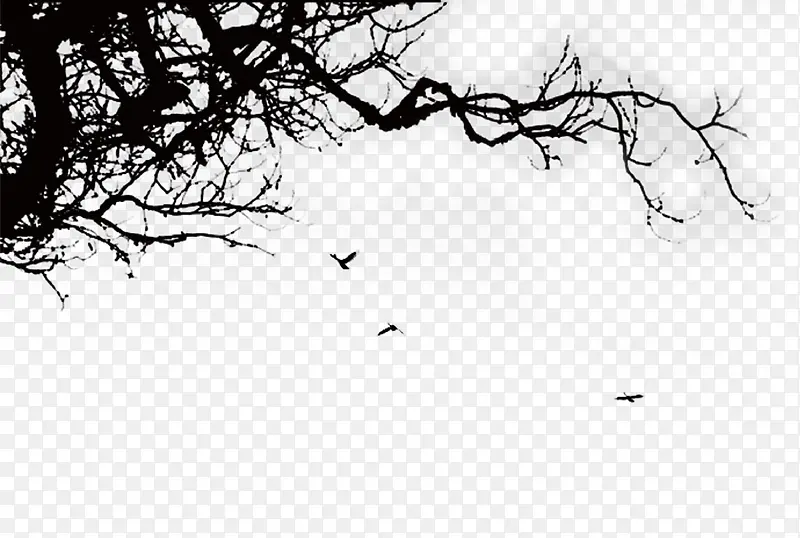 ��֦-������