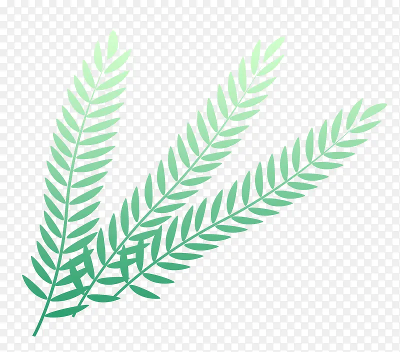 ��ͨ��Ҷ��֦-������